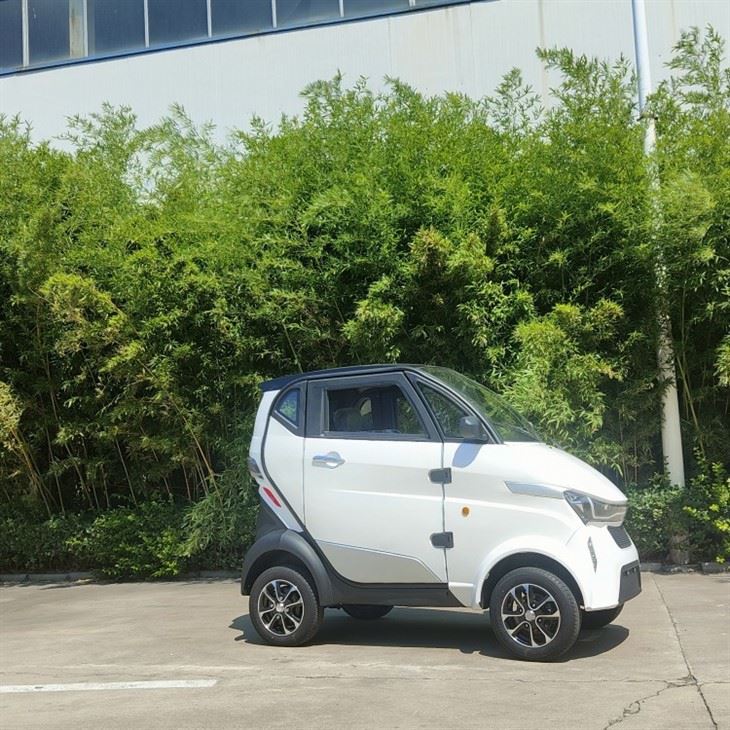 L6e 2-door 4-wheel 3kw Low-speed Mini Electric Car For Passenger L6e 2-door 4-wheel 3kw Low-speed Mini Electric Car For Passenger