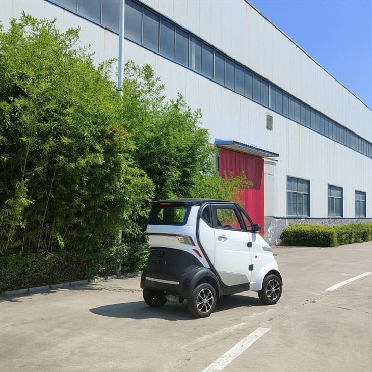 L6e 2-door 4-wheel 3kw Low-speed Mini Electric Car For Passenger L6e 2-door 4-wheel 3kw Low-speed Mini Electric Car For Passenger