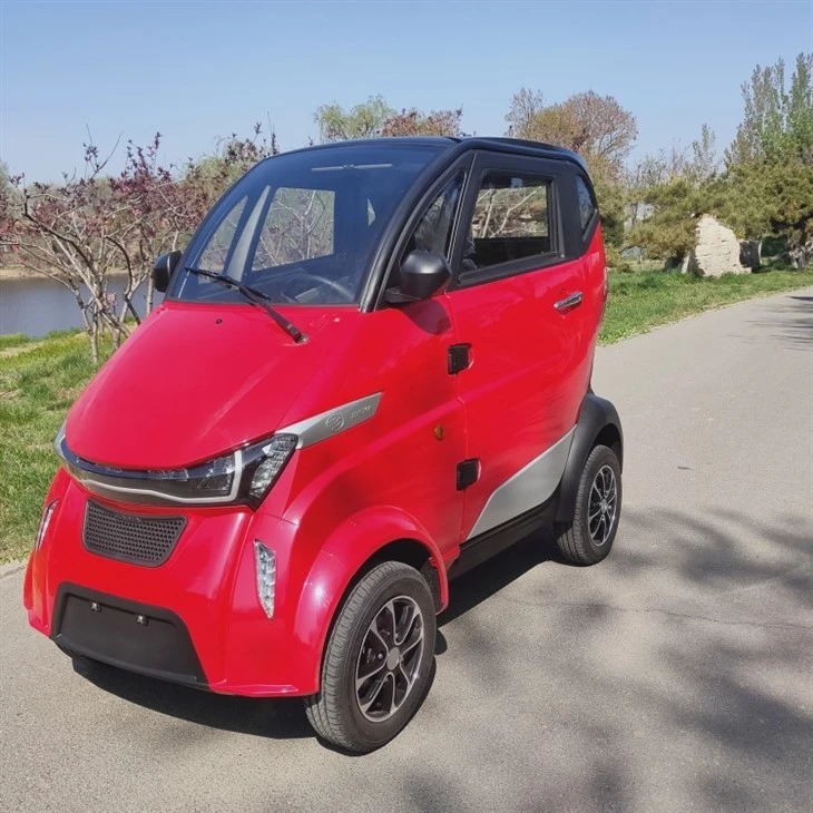 L6e 2-door 4-wheel 3kw Low-speed Mini Electric Car For Passenger L6e 2-door 4-wheel 3kw Low-speed Mini Electric Car For Passenger