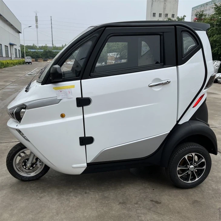 3 Wheel Tricycle EEC Travel Tools Three Wheel Electric Scooter